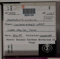 Image Associated With the Occurence